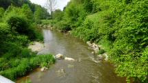  Blick auf die Mank flussabwrts 